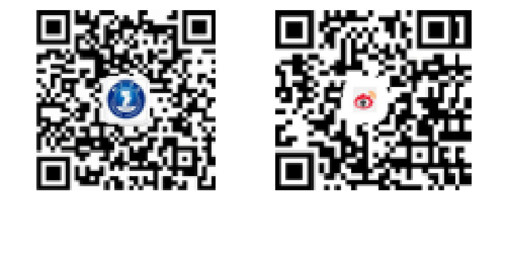 电子艺游平台